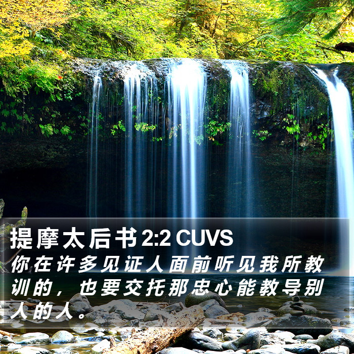 提 摩 太 后 书 2:2 CUVS Bible Study