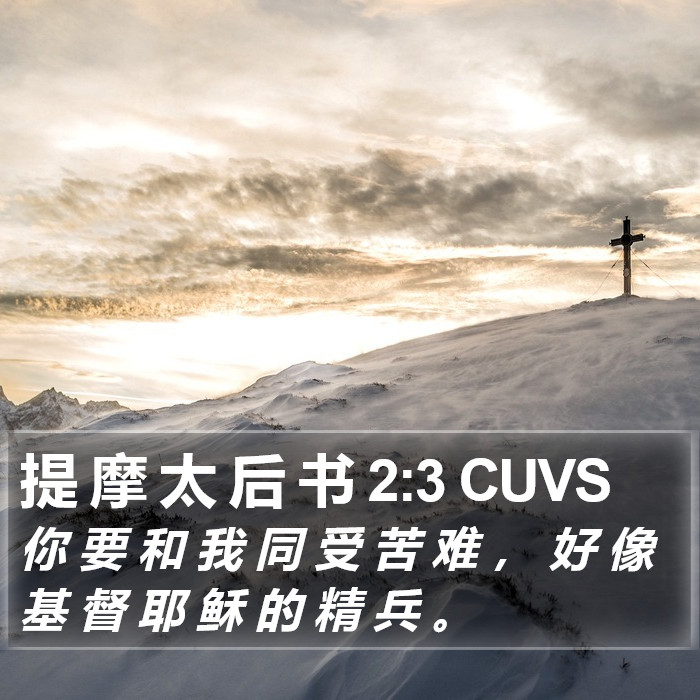 提 摩 太 后 书 2:3 CUVS Bible Study