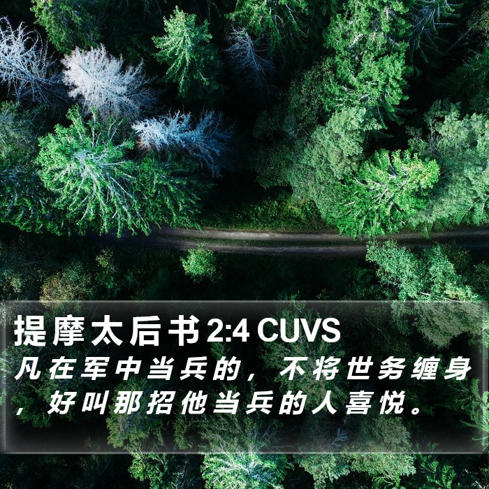 提 摩 太 后 书 2:4 CUVS Bible Study