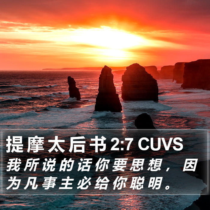 提 摩 太 后 书 2:7 CUVS Bible Study