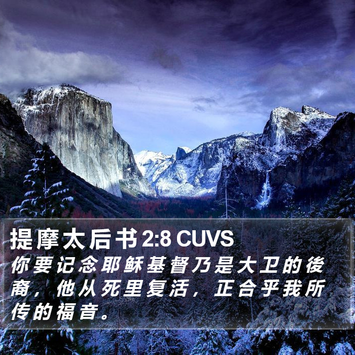 提 摩 太 后 书 2:8 CUVS Bible Study