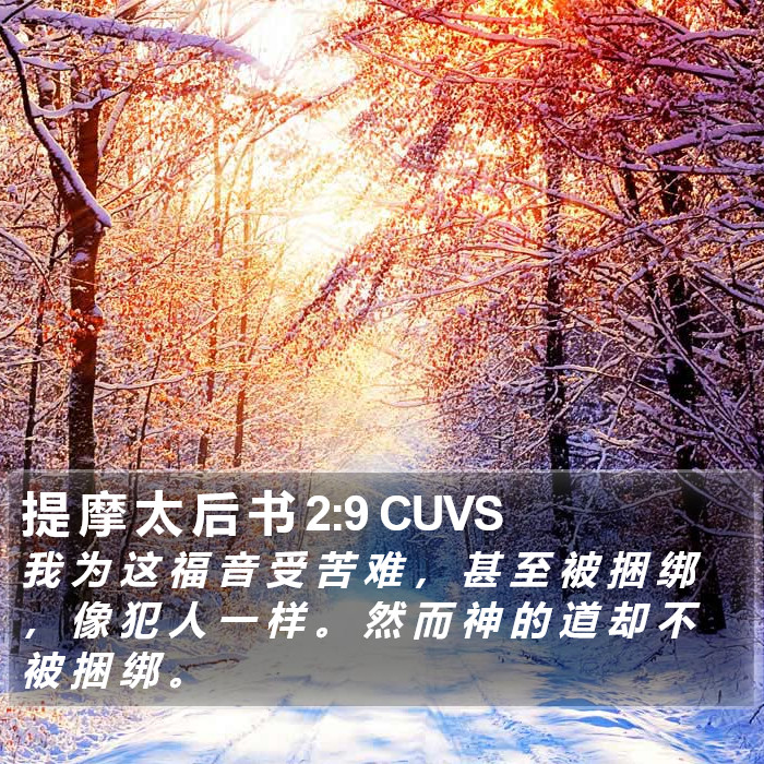 提 摩 太 后 书 2:9 CUVS Bible Study