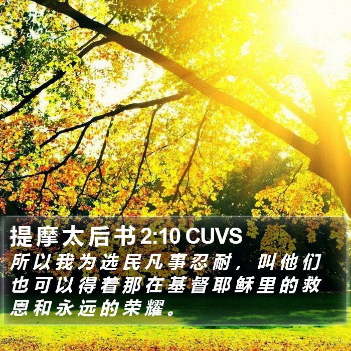 提 摩 太 后 书 2:10 CUVS Bible Study