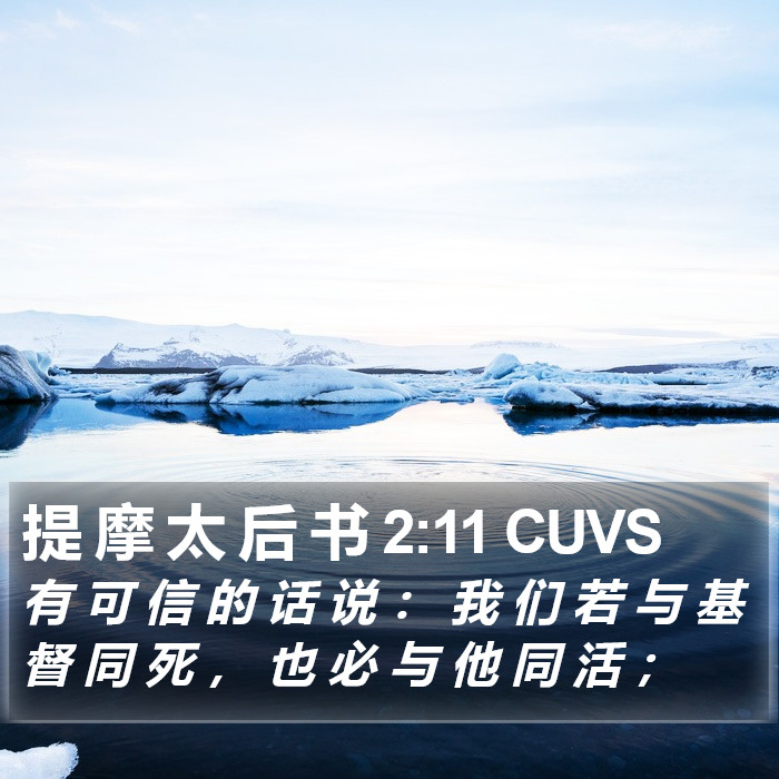 提 摩 太 后 书 2:11 CUVS Bible Study