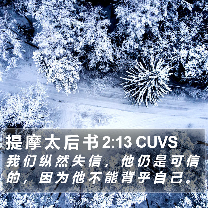 提 摩 太 后 书 2:13 CUVS Bible Study