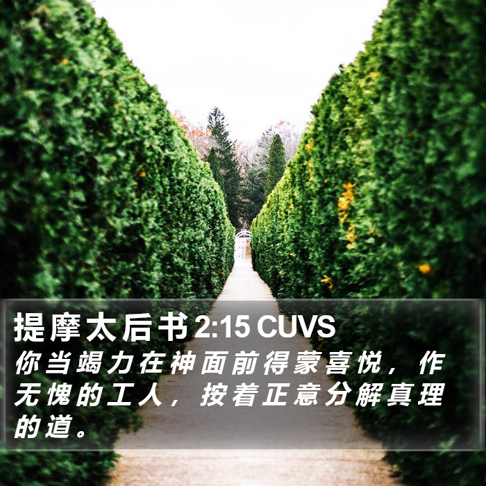 提 摩 太 后 书 2:15 CUVS Bible Study