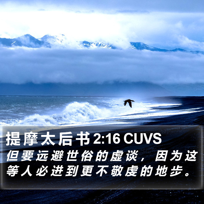 提 摩 太 后 书 2:16 CUVS Bible Study