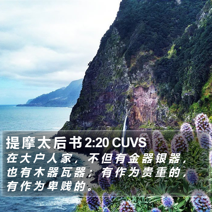 提 摩 太 后 书 2:20 CUVS Bible Study
