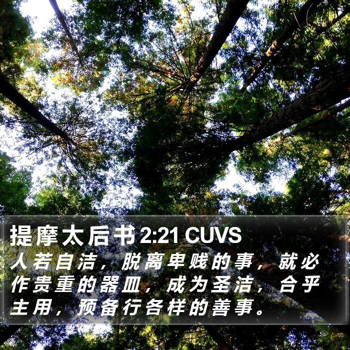 提 摩 太 后 书 2:21 CUVS Bible Study
