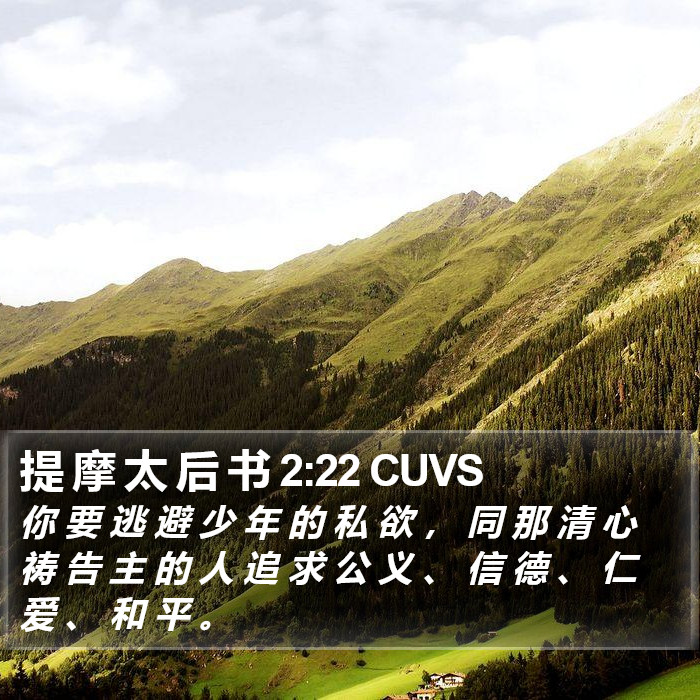 提 摩 太 后 书 2:22 CUVS Bible Study