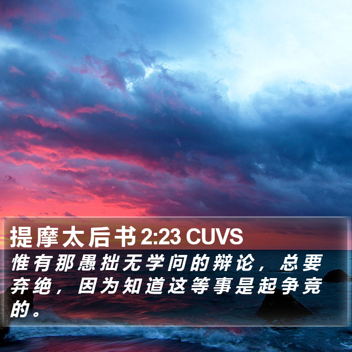提 摩 太 后 书 2:23 CUVS Bible Study