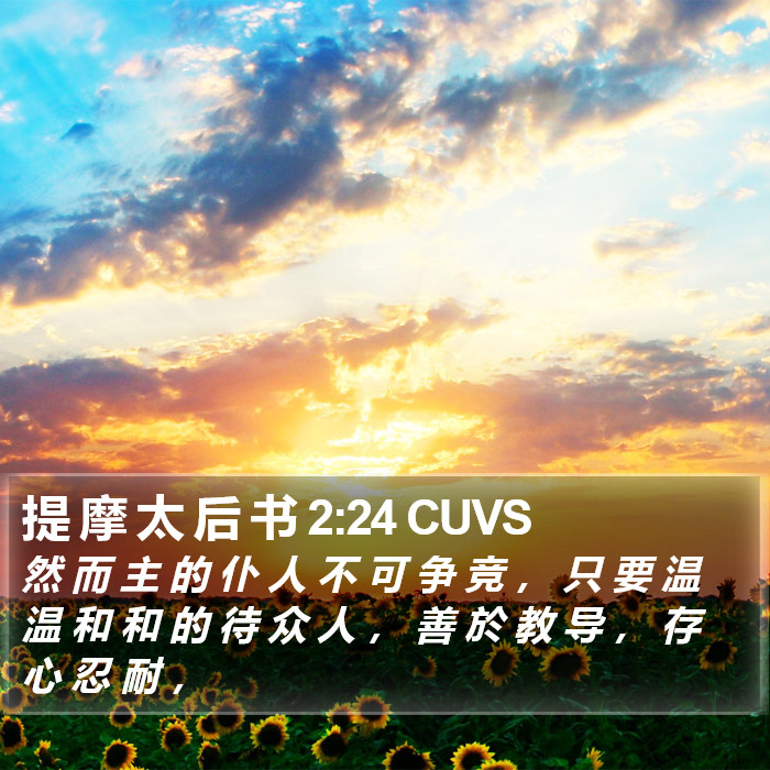 提 摩 太 后 书 2:24 CUVS Bible Study