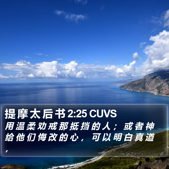 提 摩 太 后 书 2:25 CUVS Bible Study