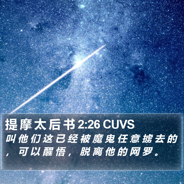 提 摩 太 后 书 2:26 CUVS Bible Study