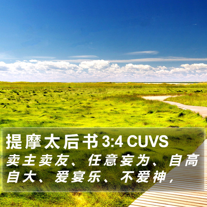 提 摩 太 后 书 3:4 CUVS Bible Study