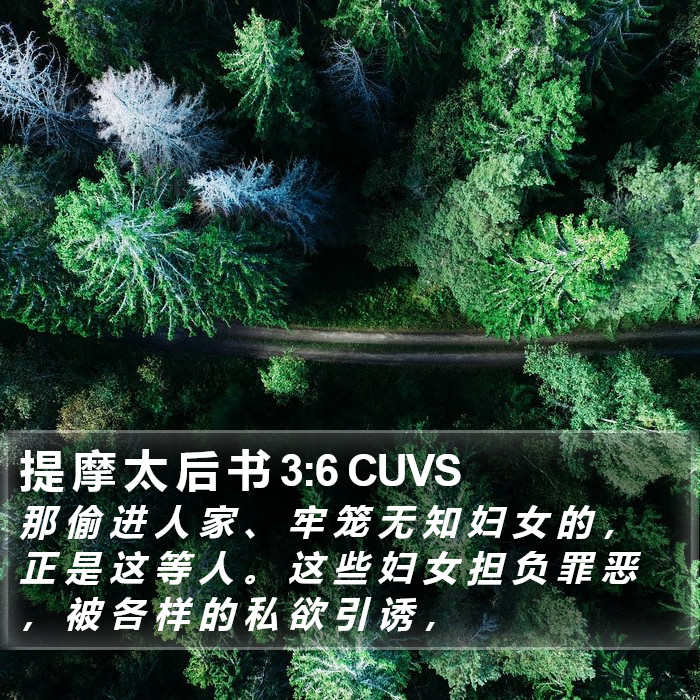 提 摩 太 后 书 3:6 CUVS Bible Study