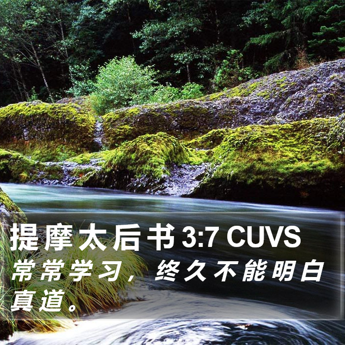 提 摩 太 后 书 3:7 CUVS Bible Study