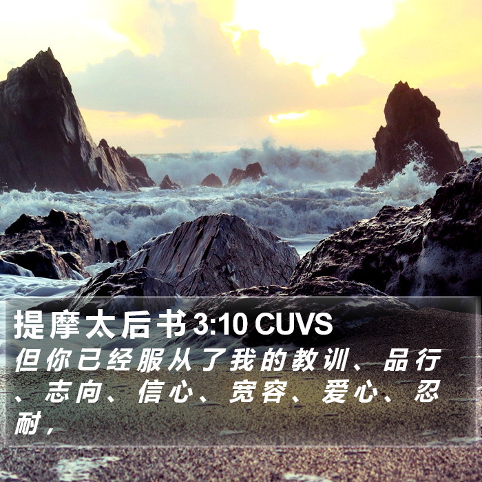 提 摩 太 后 书 3:10 CUVS Bible Study