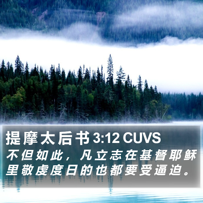 提 摩 太 后 书 3:12 CUVS Bible Study