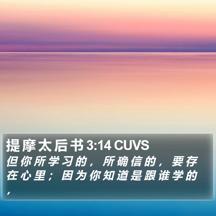 提 摩 太 后 书 3:14 CUVS Bible Study
