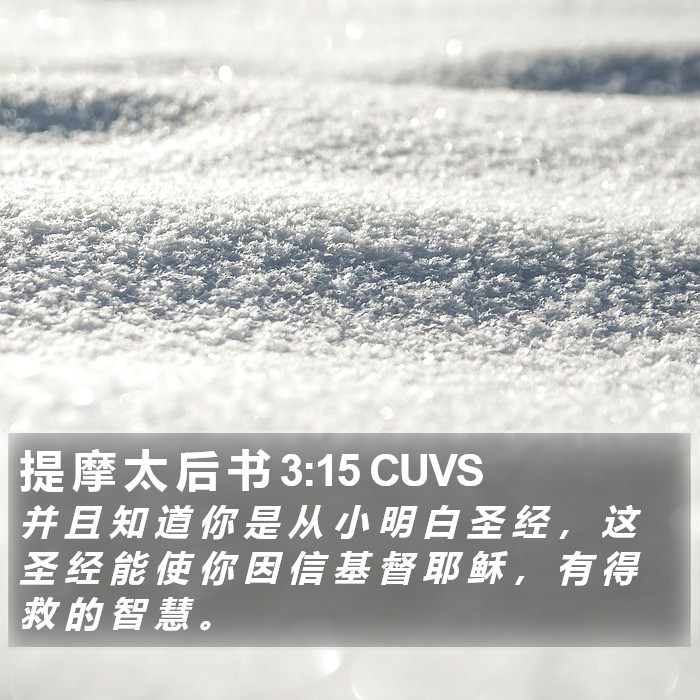 提 摩 太 后 书 3:15 CUVS Bible Study