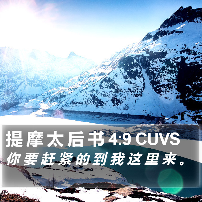 提 摩 太 后 书 4:9 CUVS Bible Study