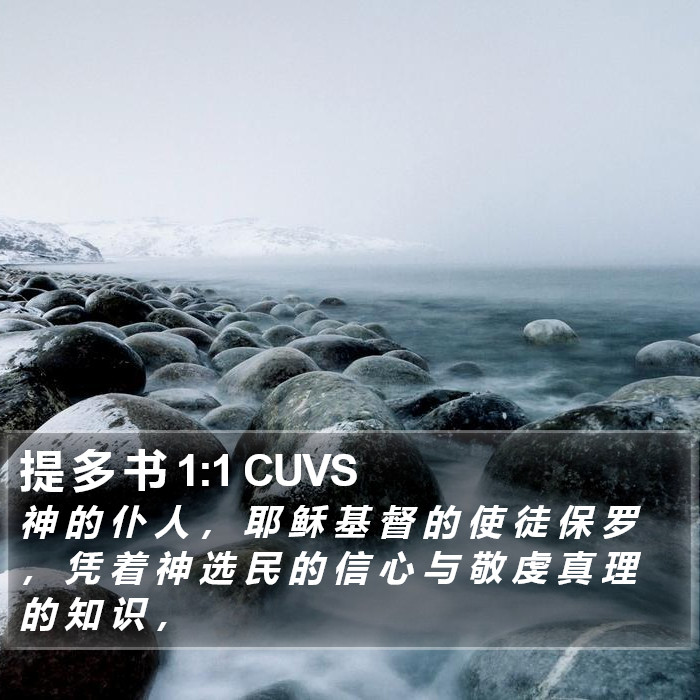 提 多 书 1:1 CUVS Bible Study