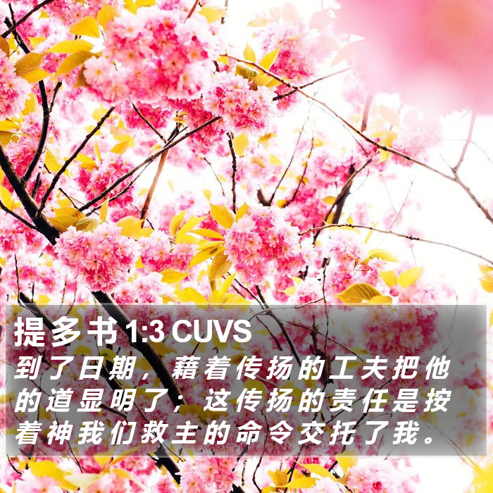 提 多 书 1:3 CUVS Bible Study