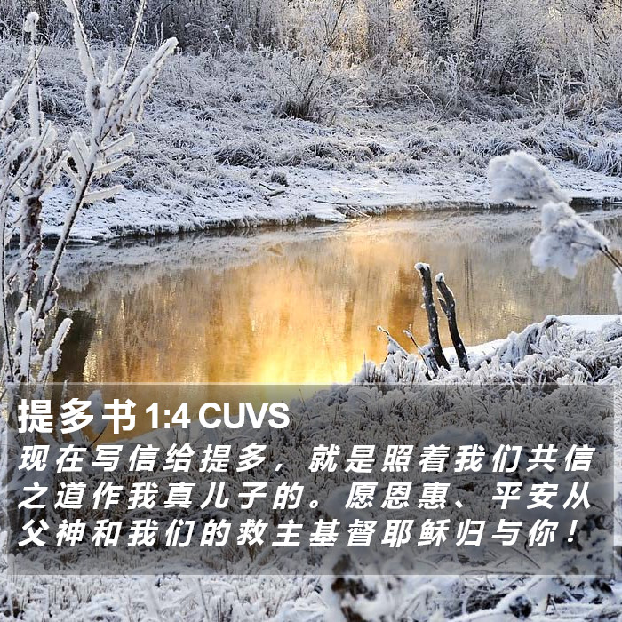 提 多 书 1:4 CUVS Bible Study