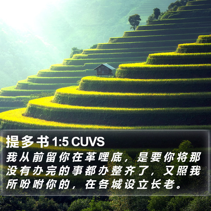 提 多 书 1:5 CUVS Bible Study