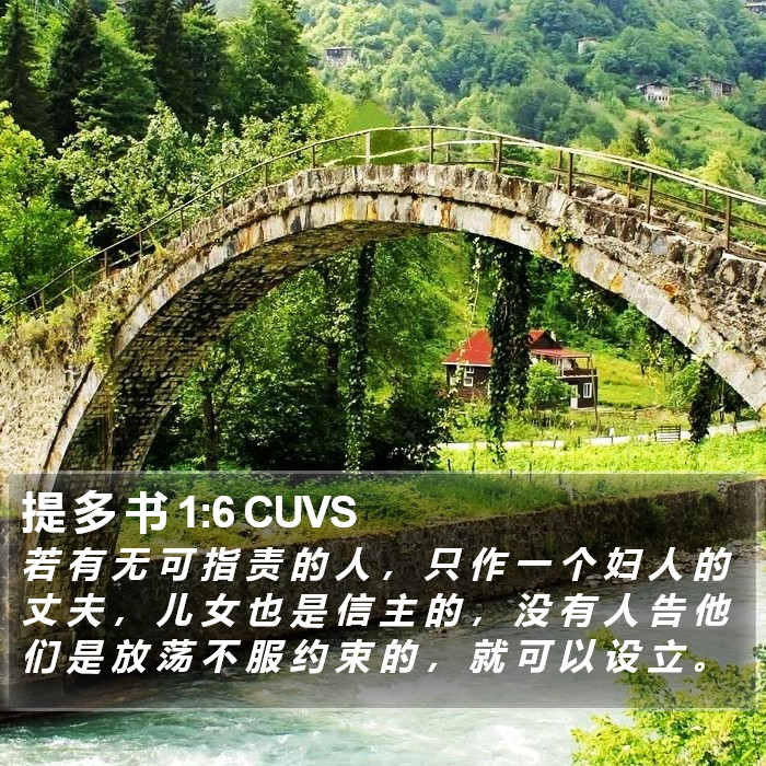 提 多 书 1:6 CUVS Bible Study