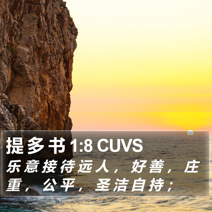 提 多 书 1:8 CUVS Bible Study