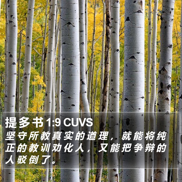 提 多 书 1:9 CUVS Bible Study