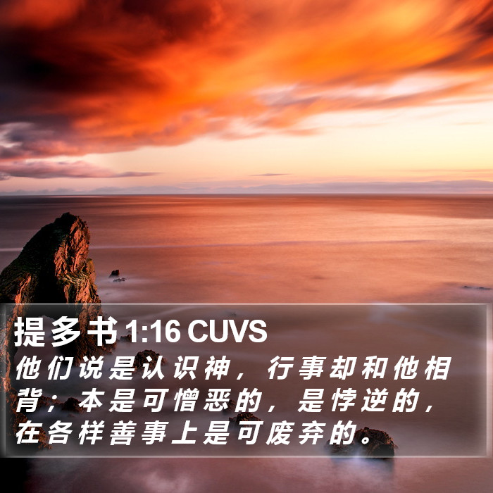 提 多 书 1:16 CUVS Bible Study