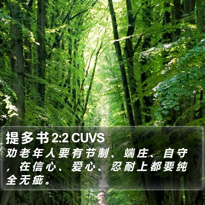 提 多 书 2:2 CUVS Bible Study