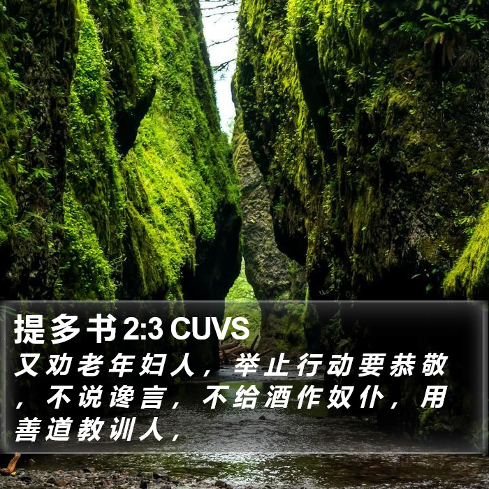 提 多 书 2:3 CUVS Bible Study