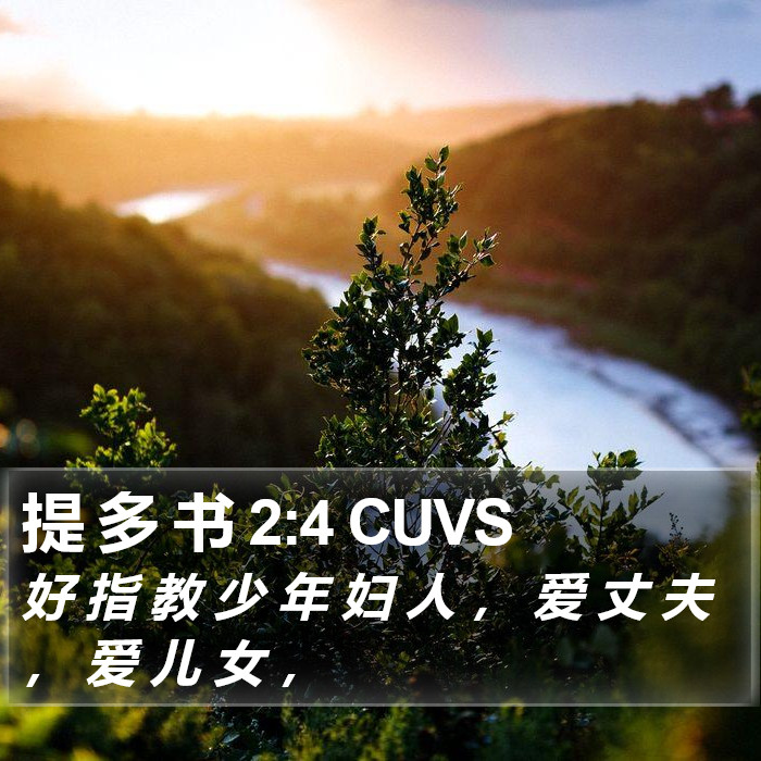 提 多 书 2:4 CUVS Bible Study