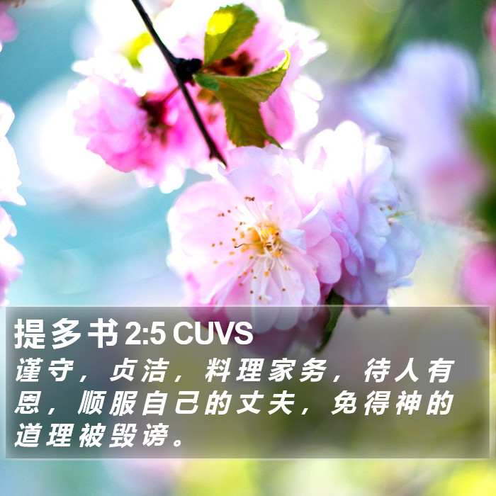 提 多 书 2:5 CUVS Bible Study