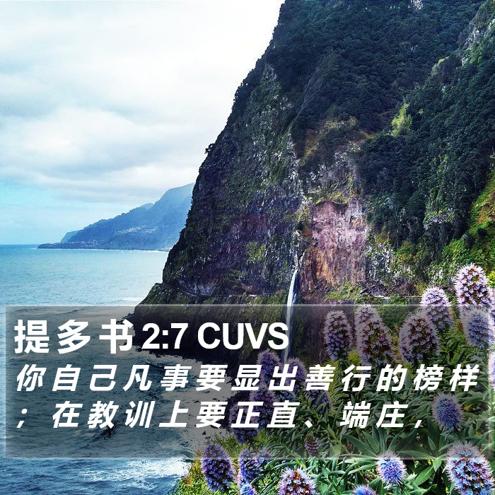 提 多 书 2:7 CUVS Bible Study