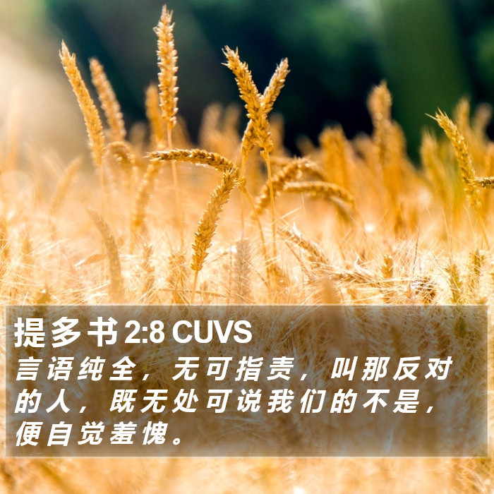 提 多 书 2:8 CUVS Bible Study