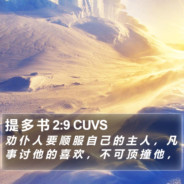 提 多 书 2:9 CUVS Bible Study