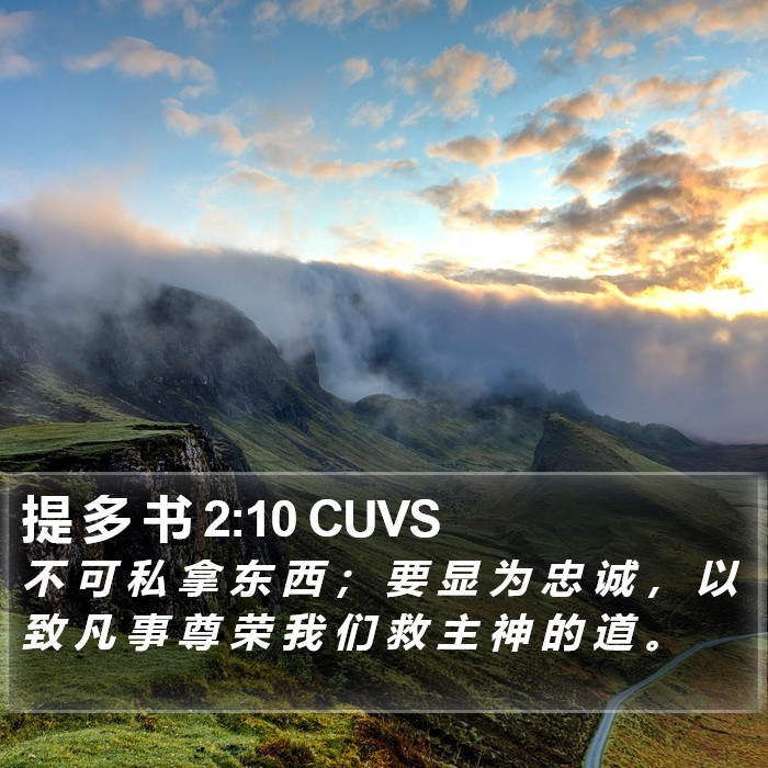 提 多 书 2:10 CUVS Bible Study