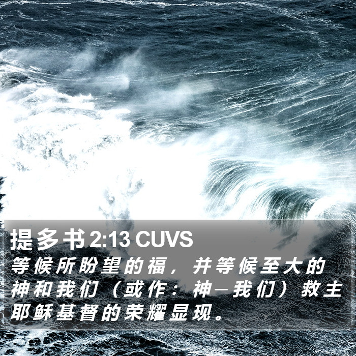 提 多 书 2:13 CUVS Bible Study