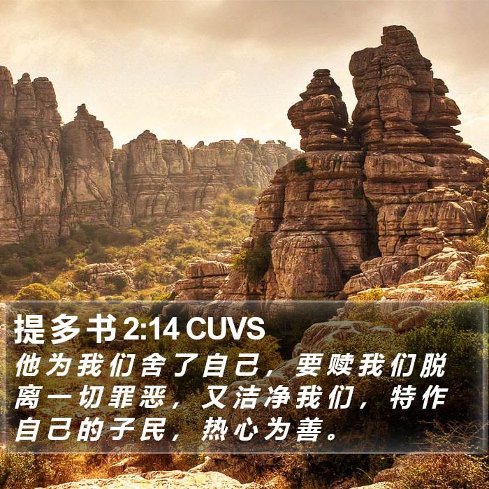 提 多 书 2:14 CUVS Bible Study