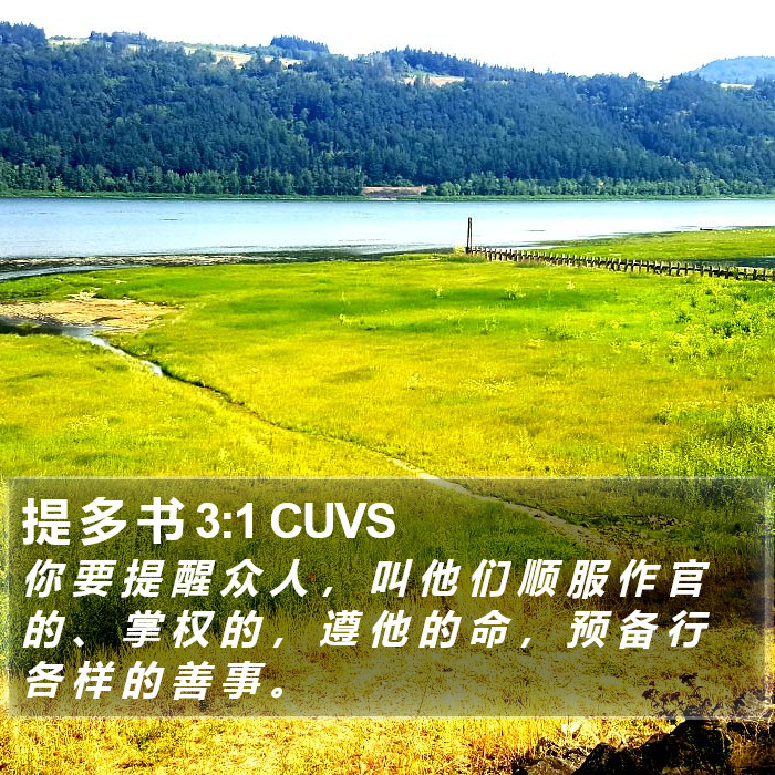 提 多 书 3:1 CUVS Bible Study