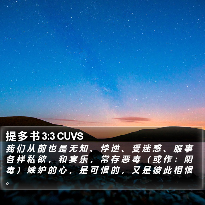 提 多 书 3:3 CUVS Bible Study