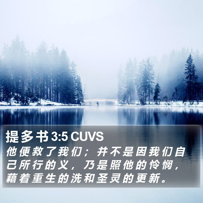 提 多 书 3:5 CUVS Bible Study