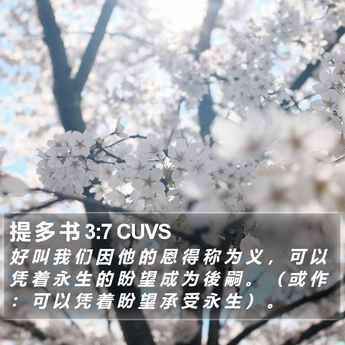 提 多 书 3:7 CUVS Bible Study