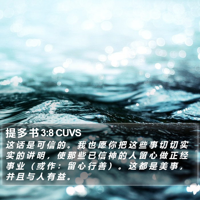 提 多 书 3:8 CUVS Bible Study