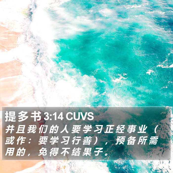 提 多 书 3:14 CUVS Bible Study